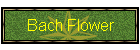 Bach Flower